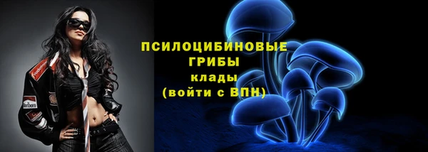 мдпв Карталы
