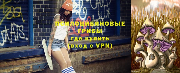 тгк Касимов