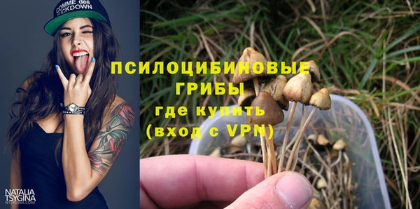 тгк Касимов