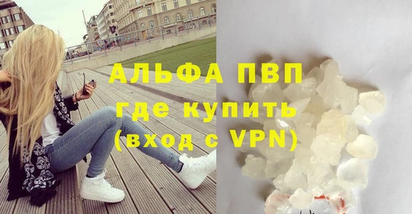 тгк Касимов